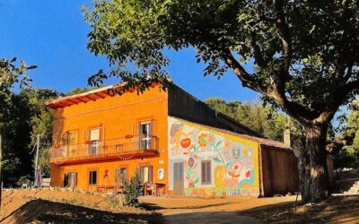 Il tuo canto libera Sardegna 2025